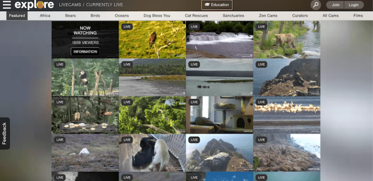 21 Calming Websites That Will Put Your Mind at Ease