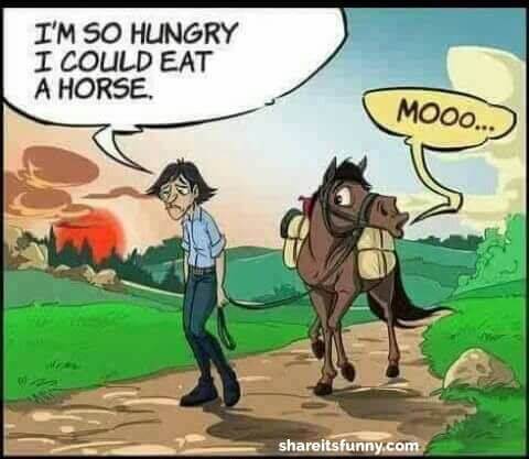 funny horse riding pictures