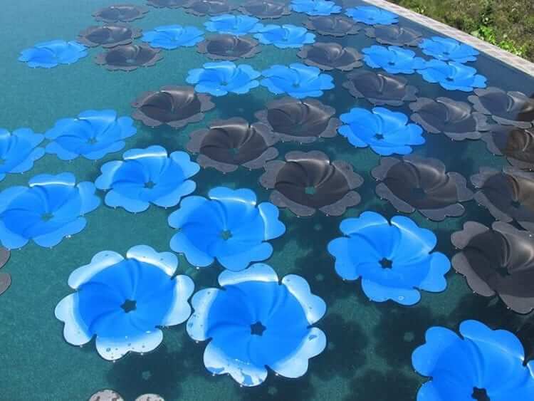 solar panels flower pool