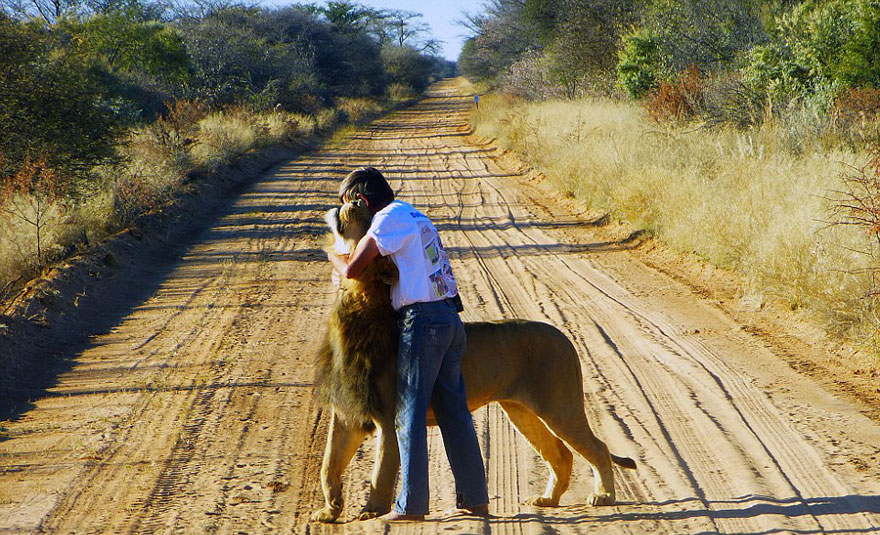 Man and Lion Become the Best of Friends after 11 Years of Friendship