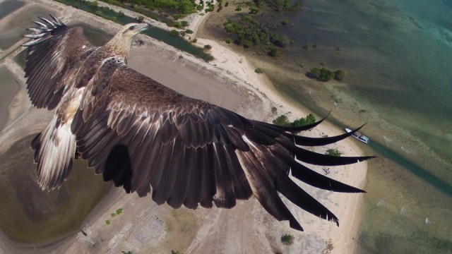 These Incredible Birds-Eye View Photos Were Taken By Drone Cameras