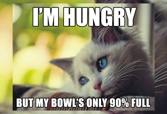 18 Hilarious Sad Cat Problems That Might Explain Why Your Cat's So Moody