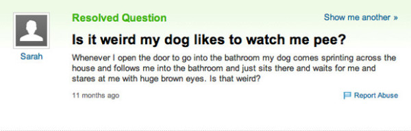 50-of-the-most-ridiculous-questions-ever-asked-on-yahoo-answers