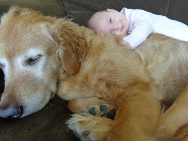 These 30 Adorable Pictures Of Babies With Puppies Will Melt Your Heart
