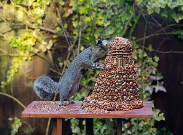 This Feeder Turns Squirrels into Doctor Who's Worst Enemy