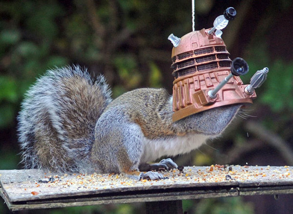 This Feeder Turns Squirrels into Doctor Who's Worst Enemy