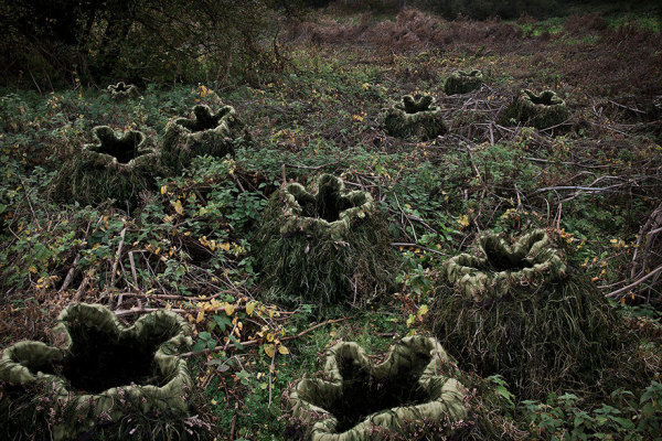 Artist Spent 7 Years Turning UK Forests into Surreal Works of Art