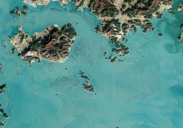 Spectacular Satellite Photos of Seaweed Farms in South Korea - BlazePress