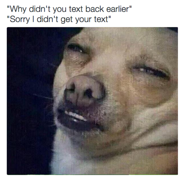 21 Times Animals Totally Understood What It's Like to Be Human